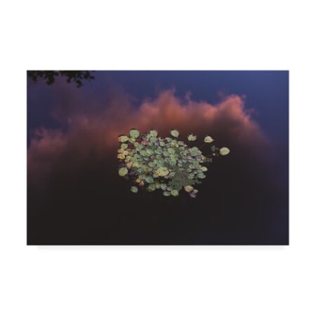 Trademark Fine Art Kurt Shaffer 'Sunset Lilypads 2' Canvas Art, 22x32 KS01458-C2232GG
